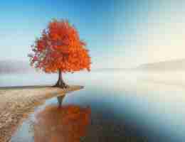 java 后​端‍架‍构﻿